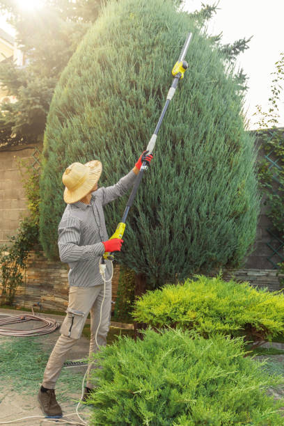 Best Lawn Maintenance Plans  in Okolona, MS